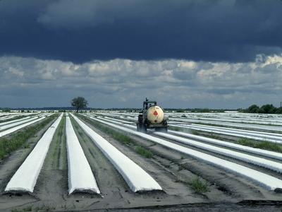 Pesticides and groundwater.jpg